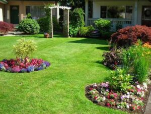 Flower Bed Edging | Landscape Maintenance